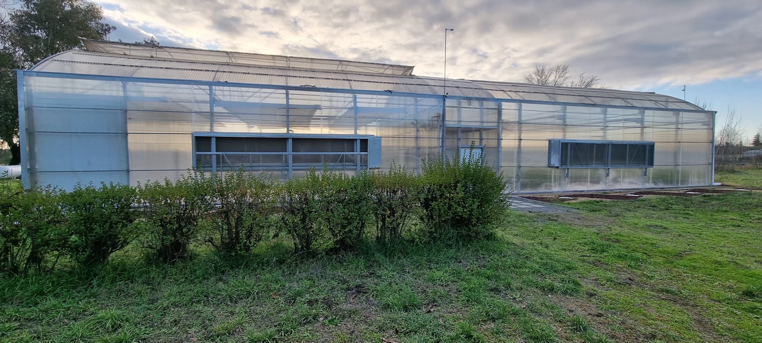 gallery grid image